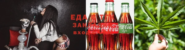 шишки Алзамай