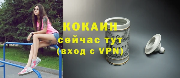 не бодяженный Алексин