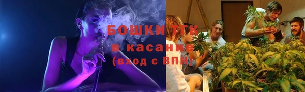 гидра Каменка