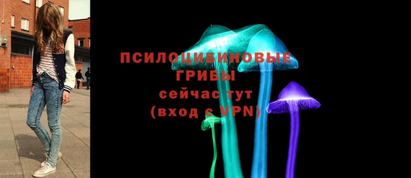 не бодяженный Алексин