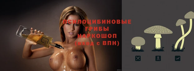 шишки Алзамай