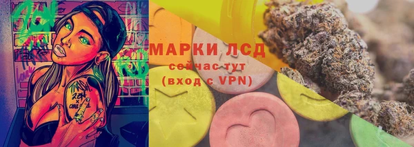 шишки Алзамай