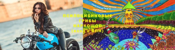 шишки Алзамай