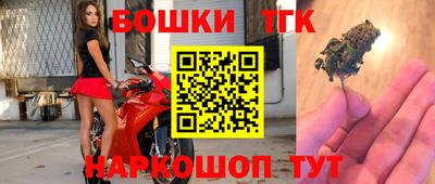 прущий лед Гусев