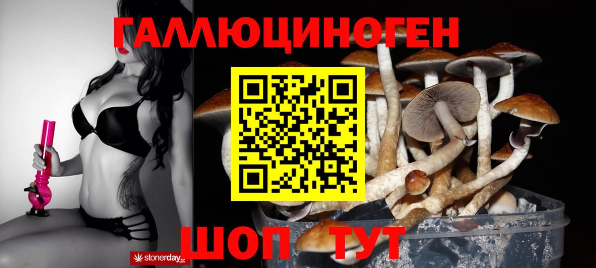 Галлюциногенные грибы Magic Shrooms Муравленко