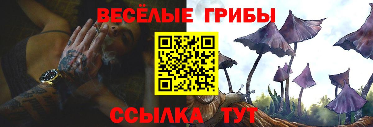 наркота  Галлюциногенные грибы ЛСД  Вход с VPN  Муравленко 